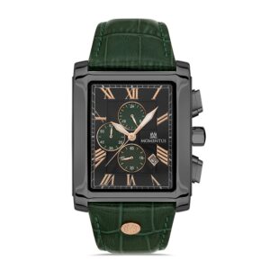 MOMENTUS TM111N-15YR